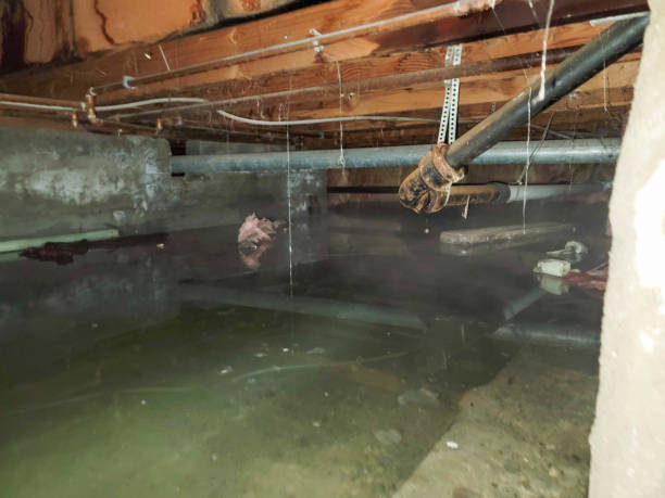Best Flood damage cleanup  in Valdese, NC