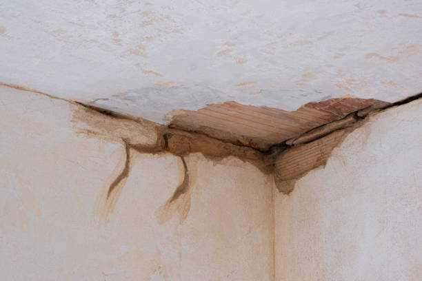 Water damage restoration mold remediation in Valdese, NC