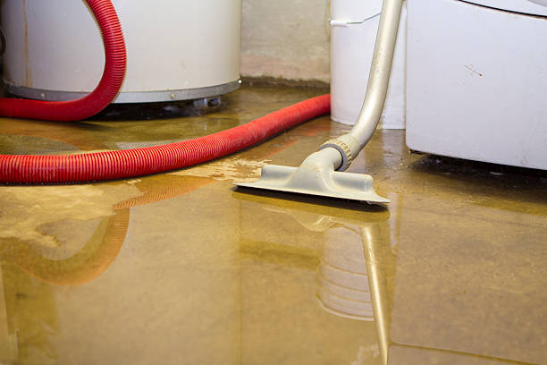 Best Flooded house restoration  in Valdese, NC