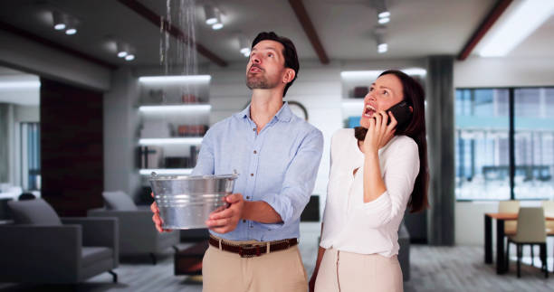 Best Basement water damage restoration  in Valdese, NC